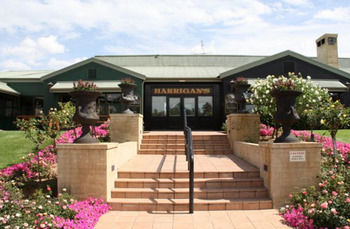 Harrigan's Irish Pub & Accommodation - Accommodation Brunswick Heads 38