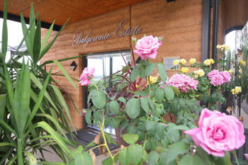 Balgownie Estate Vineyard & Spa - Accommodation Brunswick Heads 2