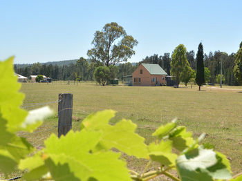 Madigan Wine Country Cottages - Accommodation Brunswick Heads 94