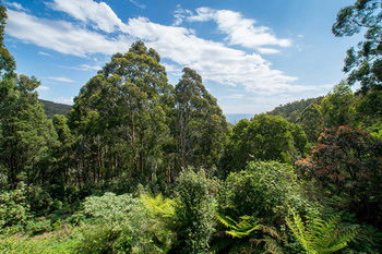 A Camelot Tower & Penthouse - Accommodation Brunswick Heads 46