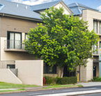 Quest Maitland Serviced Apartments - Accommodation Brunswick Heads