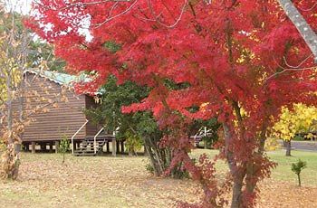 Madison's Mountain Retreat - Accommodation Brunswick Heads 1