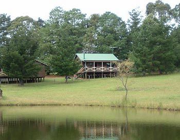 Madison's Mountain Retreat - Accommodation Brunswick Heads 2