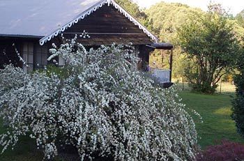 Madison's Mountain Retreat - Accommodation Brunswick Heads 3