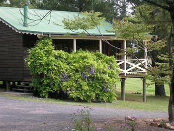 Madison's Mountain Retreat - Accommodation Brunswick Heads 4