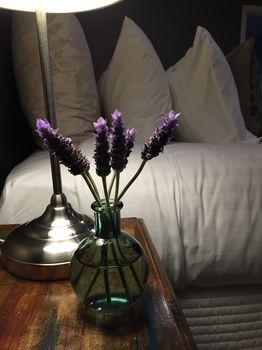 Lilies Luxury Retreats - Accommodation Brunswick Heads 51