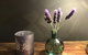 Lilies Luxury Retreats - thumb 52