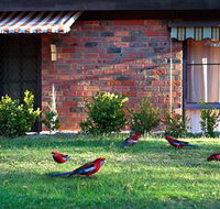 Crimson Villa - Accommodation Brunswick Heads