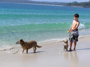 Paradise Bungalow - Accommodation Brunswick Heads 19