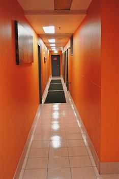 Jackaroo Hostel Sydney - Accommodation Brunswick Heads 13