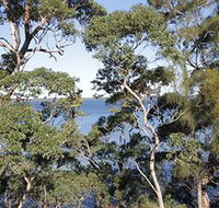 The Edgewater Bed amp Breakfast - Accommodation Brunswick Heads