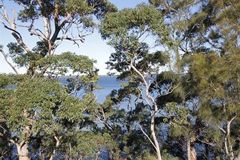 The Edgewater Bed & Breakfast - Accommodation Brunswick Heads 0
