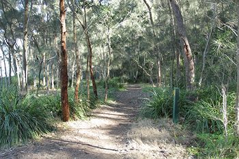 The Edgewater Bed & Breakfast - Accommodation Brunswick Heads 22
