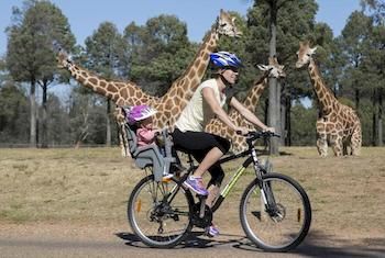 Zoofari Lodge, Taronga Western Plains Zoo - Accommodation Brunswick Heads 7