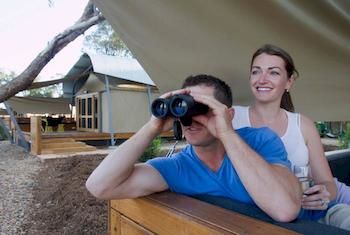 Zoofari Lodge, Taronga Western Plains Zoo - Accommodation Brunswick Heads 12