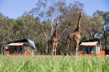 Zoofari Lodge, Taronga Western Plains Zoo - Accommodation Brunswick Heads 13