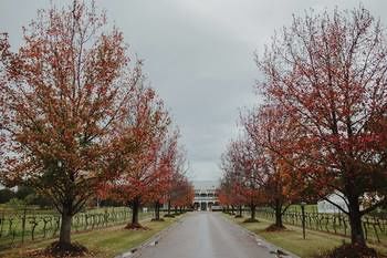 The Convent Hunter Valley - Accommodation Brunswick Heads 49