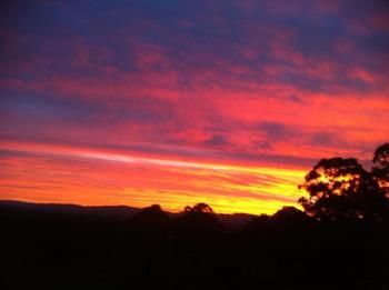 Rothbury Escape - Accommodation Brunswick Heads 11