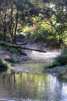 Yabbaloumba Retreat - Accommodation Brunswick Heads 5