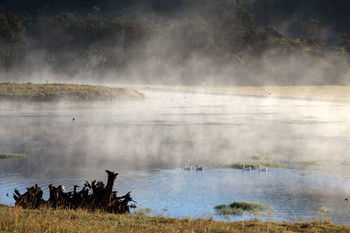 Yabbaloumba Retreat - Accommodation Brunswick Heads 16