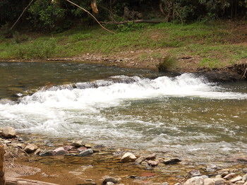Yabbaloumba Retreat - Accommodation Brunswick Heads 23
