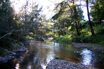 Yabbaloumba Retreat - Accommodation Brunswick Heads 25