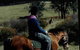 Hill Top Country Guest House - thumb 4