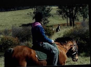 Hill Top Country Guest House - Accommodation Brunswick Heads 4