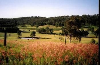 Hill Top Country Guest House - Accommodation Brunswick Heads 10