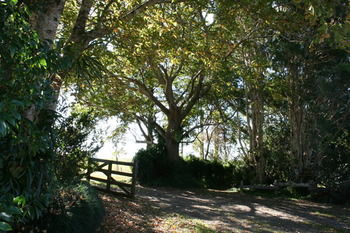 Maleny Mountain Retreat - Accommodation Brunswick Heads 2