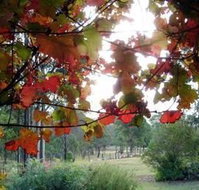 Elfin Hill Country Accommodation - Accommodation Brunswick Heads