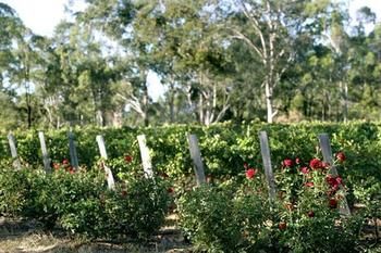 The Grange On Hermitage - Accommodation Brunswick Heads 5