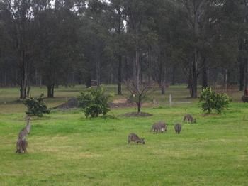 The Grange On Hermitage - Accommodation Brunswick Heads 9