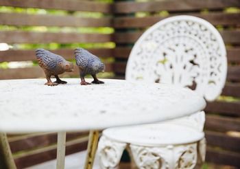 Strathvea Guest House - Accommodation Brunswick Heads 19