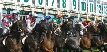 Hawkesbury Race Club Motel - Accommodation Brunswick Heads 13