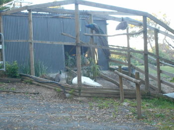 A Twist Of Willow - Accommodation Brunswick Heads 20