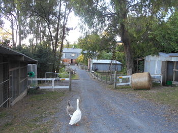A Twist Of Willow - Accommodation Brunswick Heads 21