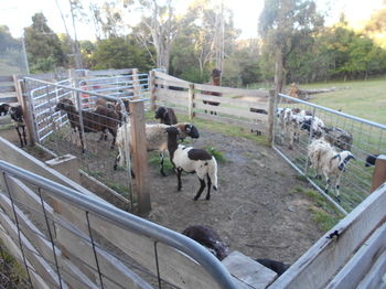 A Twist Of Willow - Accommodation Brunswick Heads 27