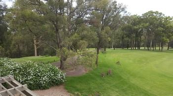 Villa Christian At Cypress Lakes Resort - Accommodation Brunswick Heads 25