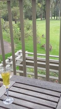 Villa Christian At Cypress Lakes Resort - Accommodation Brunswick Heads 31