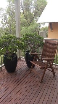 Villa Christian At Cypress Lakes Resort - Accommodation Brunswick Heads 32