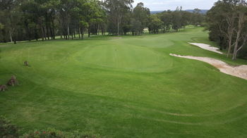 Villa Christian At Cypress Lakes Resort - Accommodation Brunswick Heads 33