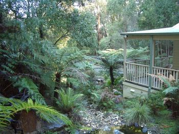Myers Creek Cascades Luxury Cottages - Accommodation Brunswick Heads 27