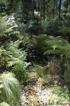 Myers Creek Cascades Luxury Cottages - Accommodation Brunswick Heads 41