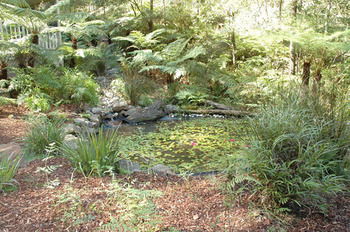 Myers Creek Cascades Luxury Cottages - Accommodation Brunswick Heads 42