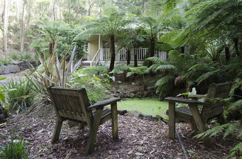 Myers Creek Cascades Luxury Cottages - Accommodation Brunswick Heads 43