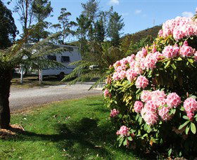 Zeehan Bush Camp  And Caravan Park - Accommodation Brunswick Heads 0