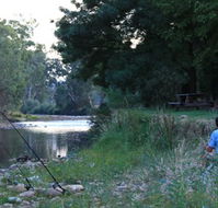 Gentle Annie Caravan and Camping Reserve - Accommodation Brunswick Heads