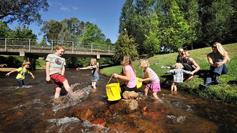 NRMA Bright Holiday Park - Accommodation Brunswick Heads 3