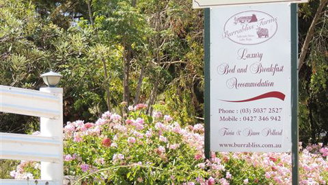Burrabliss Bed And Breakfast - Accommodation Brunswick Heads 6